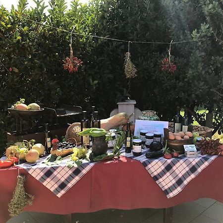Masseria Vero Bed and Breakfast Palo del Colle Εξωτερικό φωτογραφία