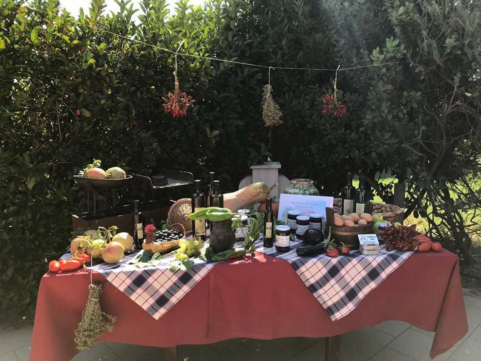 Masseria Vero Bed and Breakfast Palo del Colle Εξωτερικό φωτογραφία